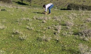 Guys Play With Pots And Firecracker