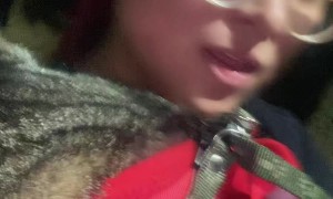 Dino Desires Not To Depart