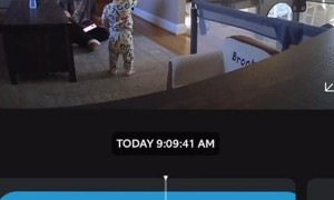 Dog Enjoys Toddler's Donut