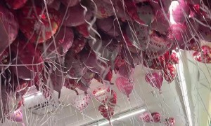 Dollar Store Filled With Balloons