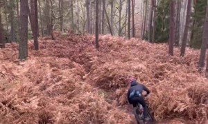 Biker totally falls during downhill ride