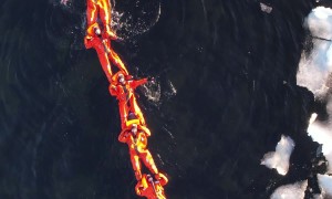 Synchronized Swimming in Icy Waters