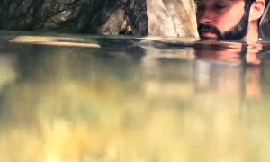 Working With The Fish