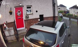 Dolly Needs to Work on Her Spatial Awareness