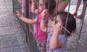 Little Hands Line Up For Kisses