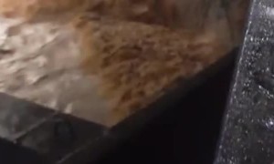 Dirty Water Enters Truck During Flooding