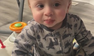 Pizza So Good It Breaks Little Man's Brain