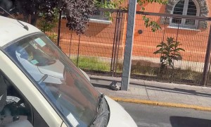 Driver Caught Franticly Waving His Arms Around