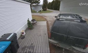 Who’s Walking Who?