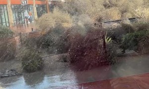 Atmospheric River Sends Sea of Tumbleweeds Across Central California