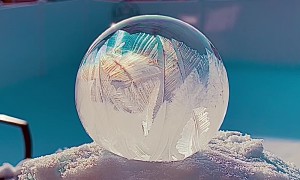 Mesmerizing Frozen Bubbles