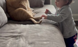 Girl Nibbles Cat's Toe Beans