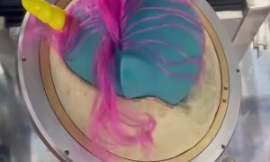 A Pony Receives Her Mane