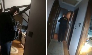 Police Find Squirrel After Responding to Home Intrusion Alarm