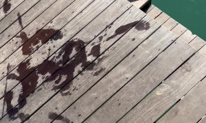 Comically Imperfect Dive