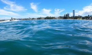 Diver Has Close Call With Watercraft