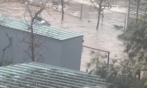 Floodwaters Threaten Horse Ranch