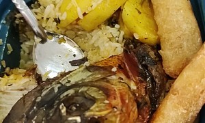 When Your Lunch Tries to Tell You Something