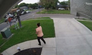 Tree Branch Swings Around and Hits Man in Leg