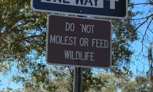 Sign Uses Strange Language