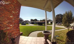 Delivery Driver Forgets to Put Car in Park