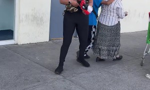 Guarding Grandma With Toy Guns