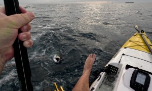 Shark Hits Kayaker