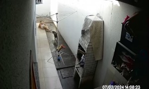 Excited Dog Trips Up Woman