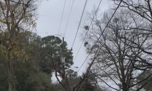 Transformer Blows Up in Norfolk Neighborhood