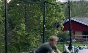 Cat Quickly Regrets Hopping Onto Trampoline