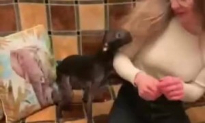 Pup get totally excited when mom comes home after two months