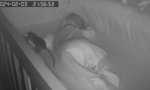 Rat Bites Sleeping Baby