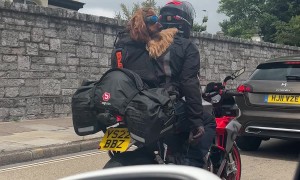 Cool Dog Rides Motorbike