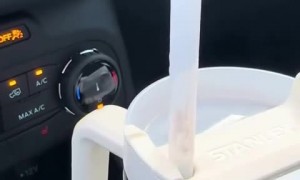 Little spider chills out in Stanley's straw 