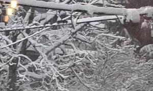 Snowplow Squirrel Cleans Powerlines
