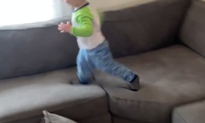 Toddler's Head Finds Hardest Part Of Couch