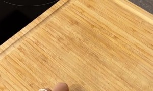 Boxer Dog Acts As Garbage Can