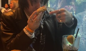 Restaurant-Goer Traumatizes A Fish
