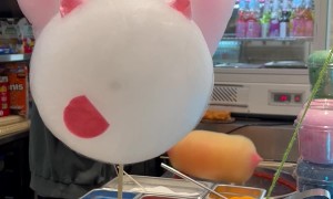 Cotton Candy Unicorn With Rainbow Mane