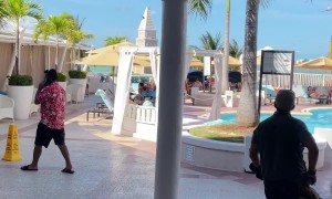 Falconer Clears Out Pigeons With His Hawk