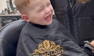 Kid Laughs Uncontrollably While Getting a Haircut