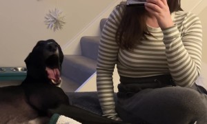 Sing Us A Song, Mr. Doggy Man