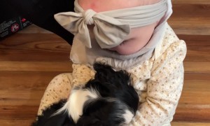 Puppy and Baby Become Fast Friends