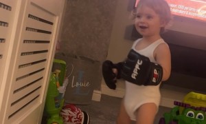 Toddler Is Ready to Tussle