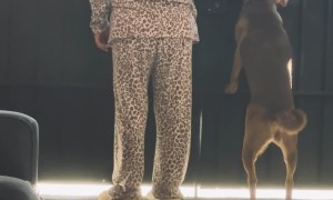 The Neighborhood Watch Is on Duty