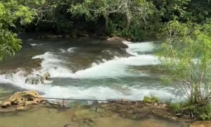 This is the biggest anaconda you have ever seen! 