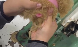 Dollmaker Sews On Curly Hair