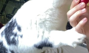 Bunny Wants To Share