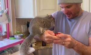 Husband Shares Snacks With Squirrel