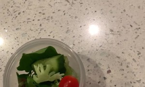 Making A Smaller Salad